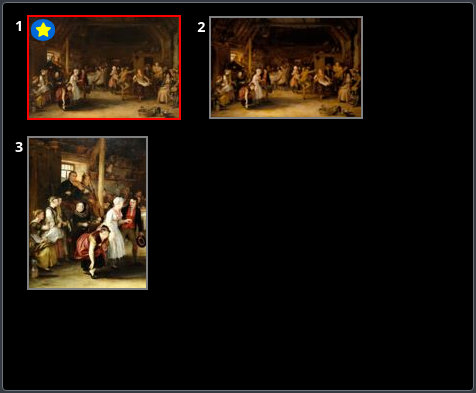 Detail of the image selector panel from a screenshot of the Source Image Viewer
